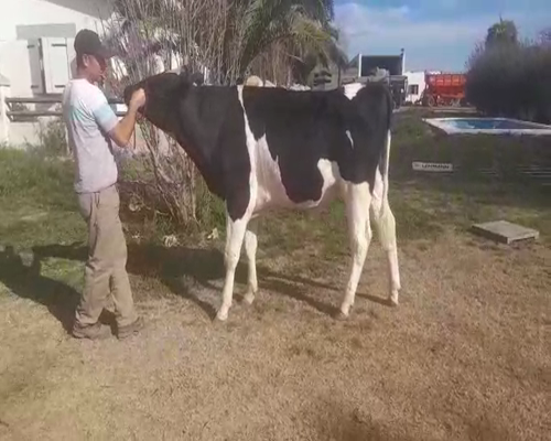 Lote San santiago virgilo 5171