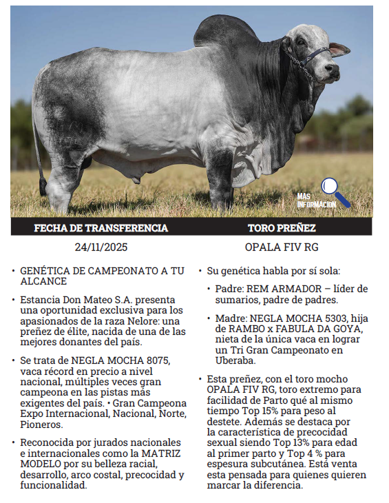 Lote LOTE 2 - PREÑECES