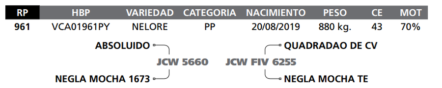 Lote LOTE  17-  RP 961