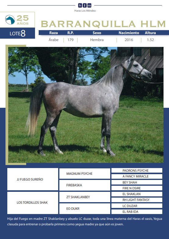 Lote BARRANQUILLA HLM