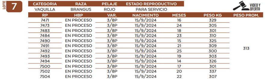 Lote LOTE 7