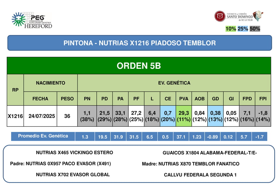 Lote ORDEN  5 TERNERAS PP