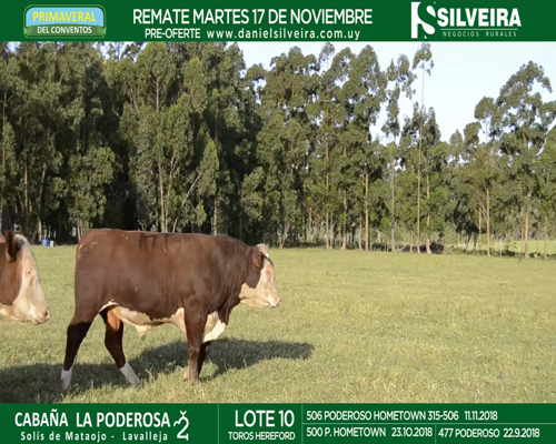 Lote Cabaña La Poderosa