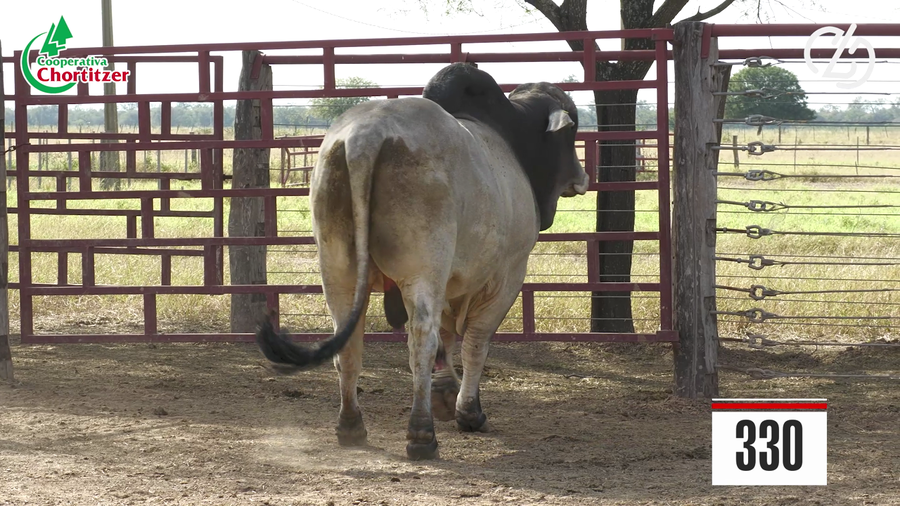 Lote Brahman