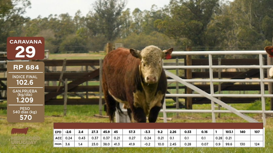 Lote Caravana 29 "CAL, MARÍA CECILIA, SOFÍA ISABEL Y MAURO."