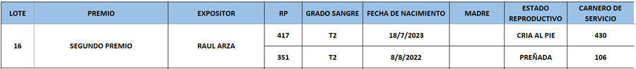 Lote LOTE 16