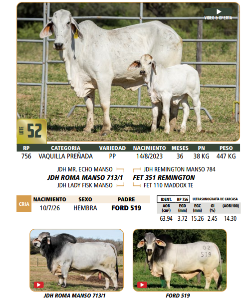 Lote LOTE 52