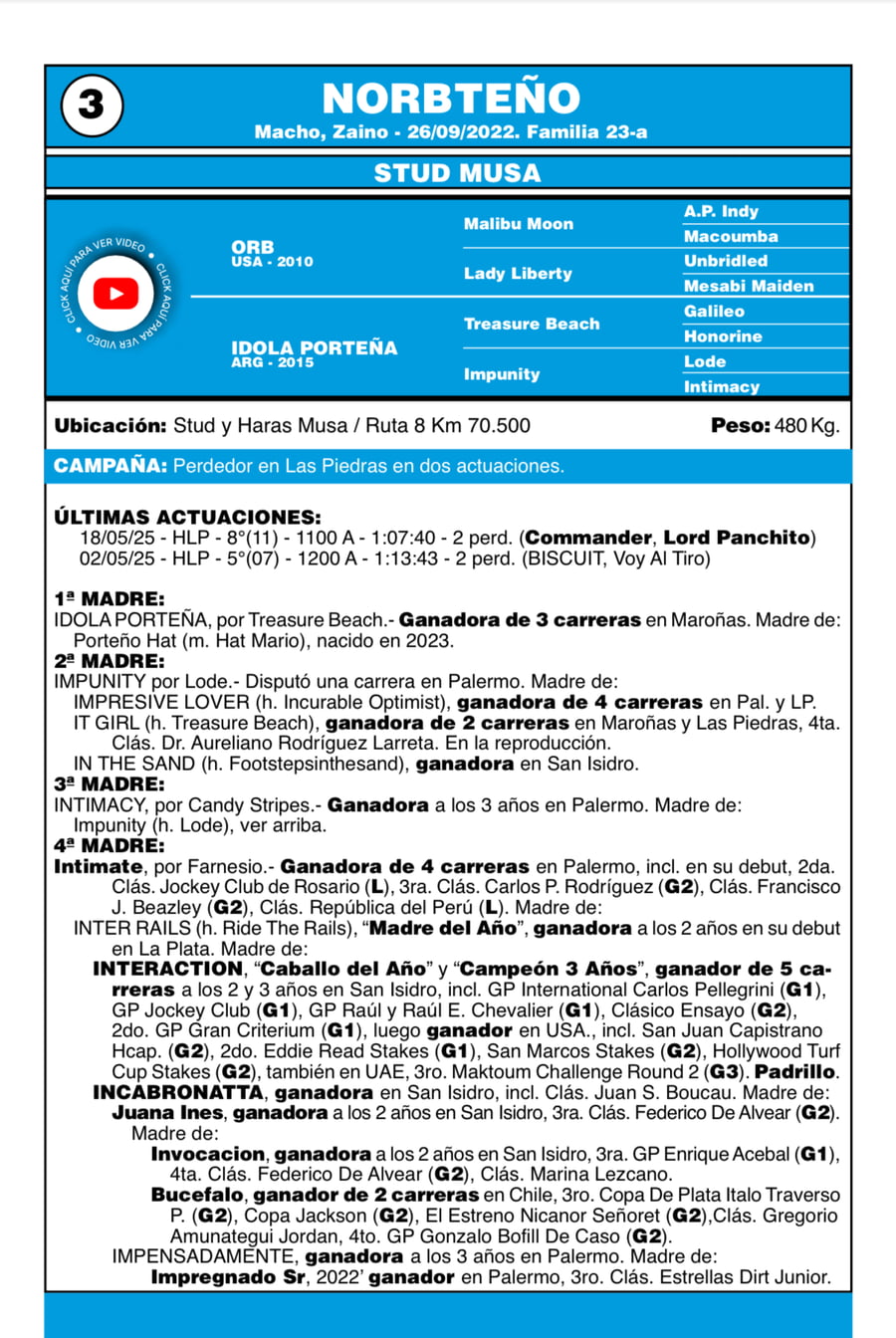 Lote LOTE 3 - NORBTENÑO