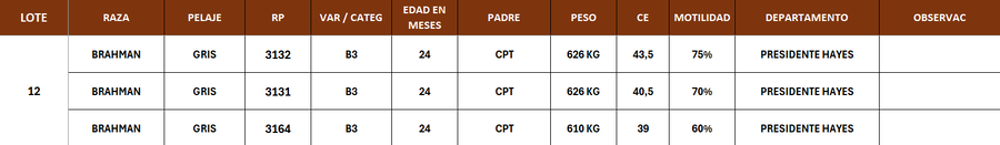 Lote LOTE 12- POR PANTALLA