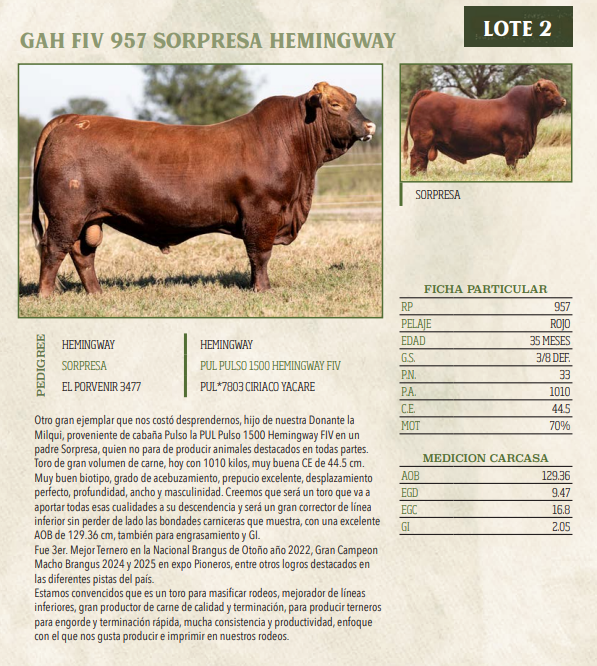 Lote LOTE 2