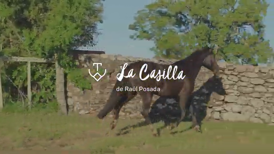 Lote NOCHE DE LINA 686 DE LA CASILLA