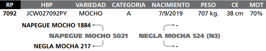 Lote LOTE  15-RP 7092