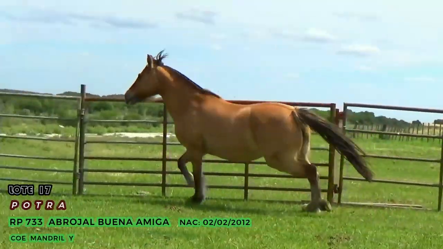 Lote Abrojal Buena Amiga