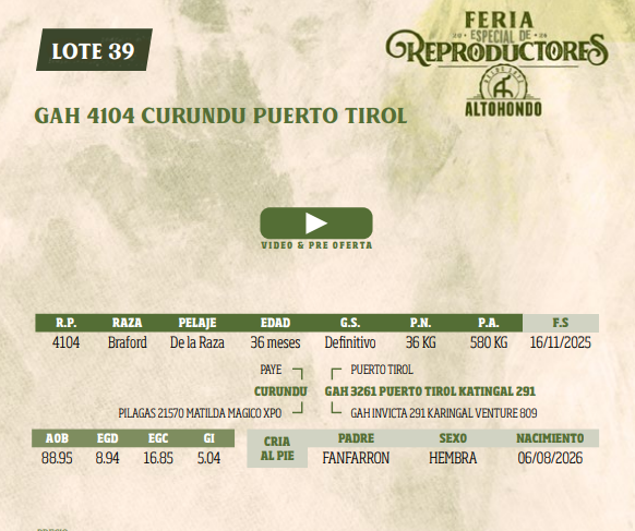 Lote LOTE 39