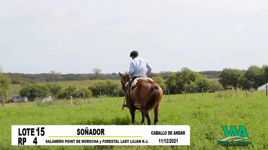 Lote SOÑADOR