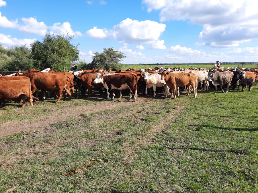 Lote SAENZ VALIENTE, BULLRICH Y Cia. S.A.