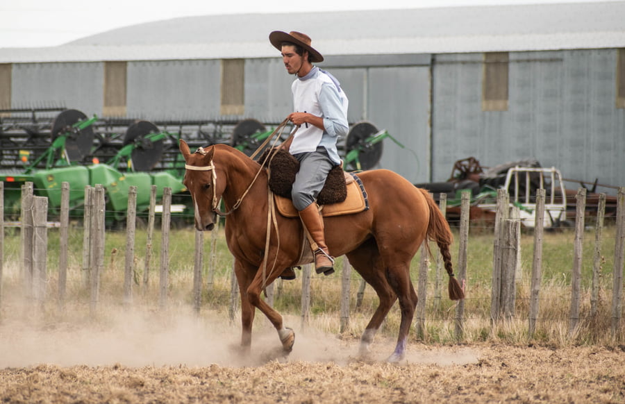 Lote S.E.PITUCA CHEX DEL CIELO