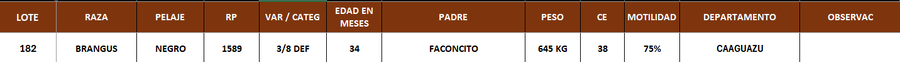 Lote LOTE 182