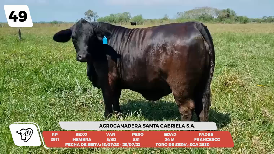 Lote LOTE 49-DE CAMPO