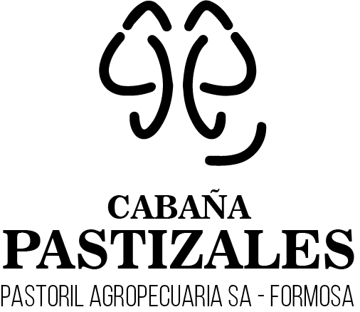 Lote VAQUILLONA PREÑADAS CORRAL 74