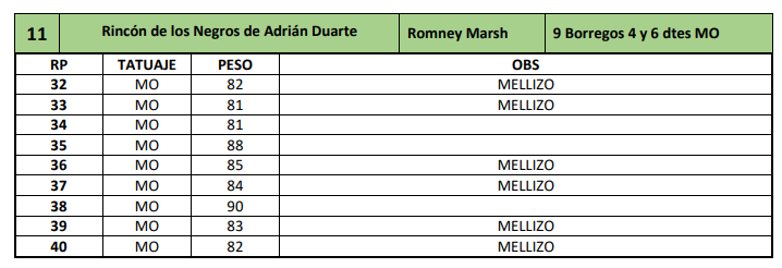 Lote 9 Borregos 4 y 6 dtes MO