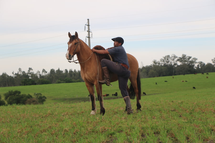 Lote CARTUCHERA DEL CONVENTOS
