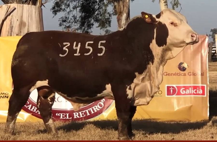 Lote CABAÑA EL RETIRO