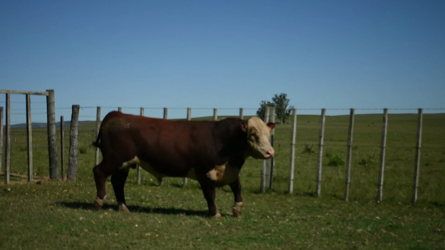 Lote "Valle Del Laurel" , RP 1169