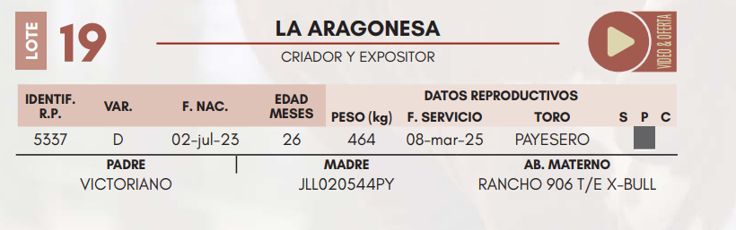 Lote LOTE 19 HEMBRAS DE CAMPO