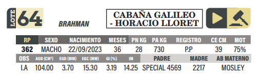 Lote LOTE 64