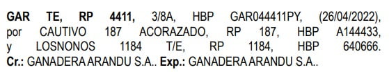 Lote LOTE 5
