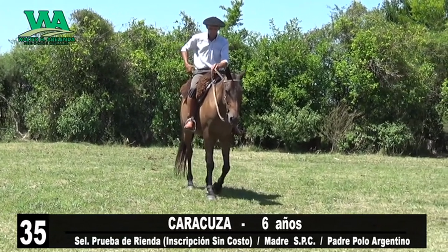 Lote CARACUZA