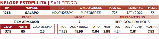 Lote LOTE 62