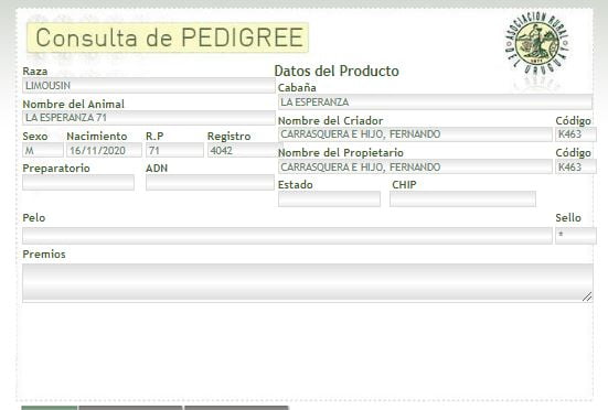 Lote TORO PI - RP 71