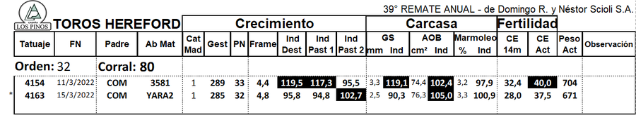 Lote TORO P. HEREFORD