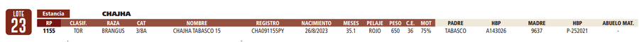 Lote LOTE 23