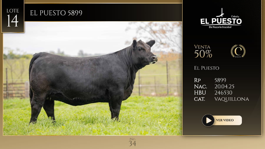 Lote EL PUESTO 5899