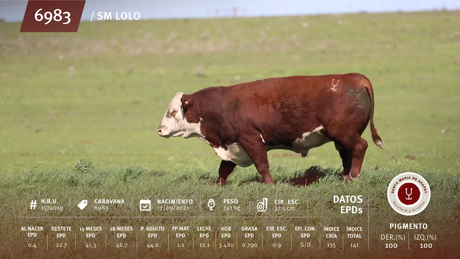 Lote Toros a remate en Remate anual Ñu Porá 2023, Paysandú