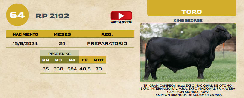 Lote LOTE 64