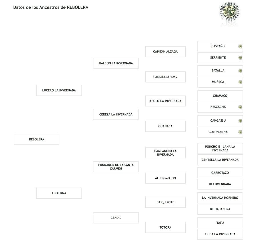 Lote Cabaña "La Picada" - RP 5 - Rebolera