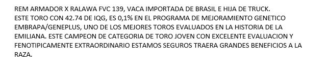 Lote Nelore a Bozal Expo Internacional 2022 RP 2486- Lote 17