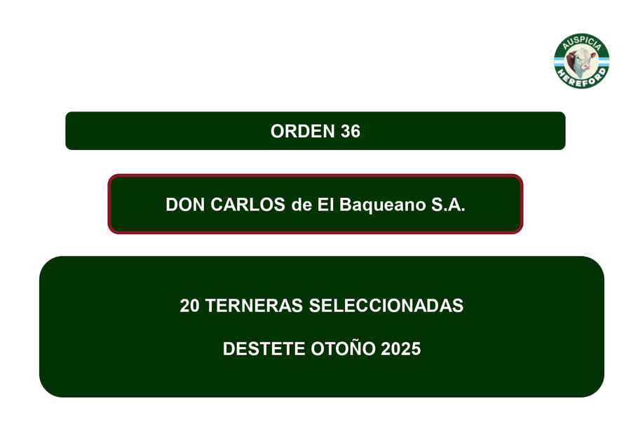 Lote TERNERAS SELECCIONADAS - DON CARLOS