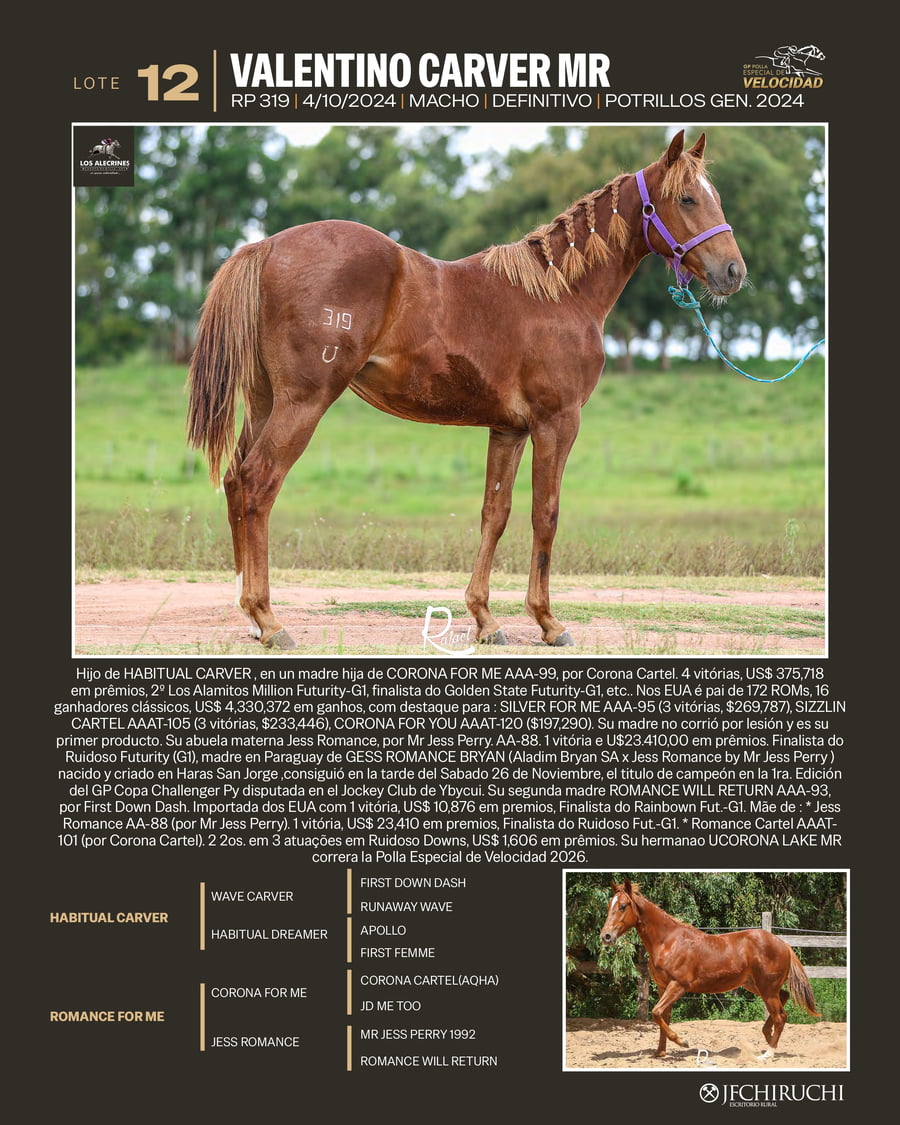 Lote VALENTINO CARVER MR