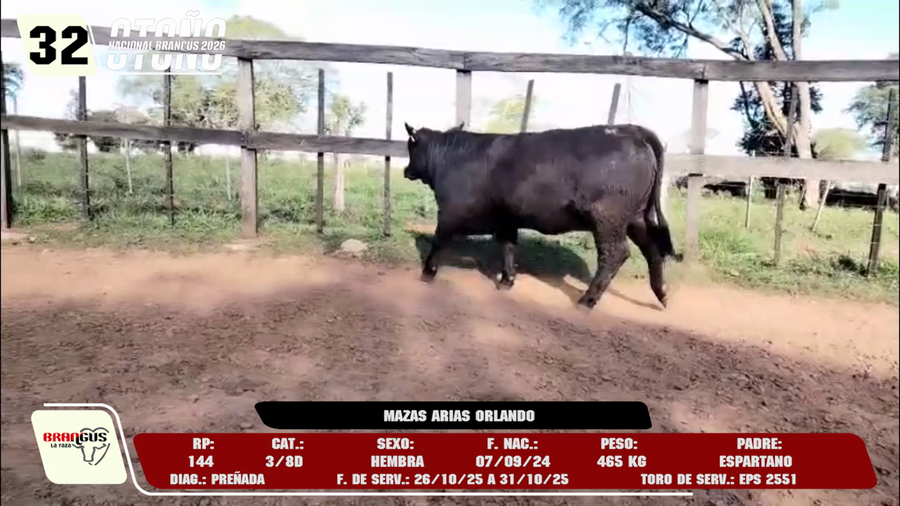 Lote LOTE 32 -DE CAMPO