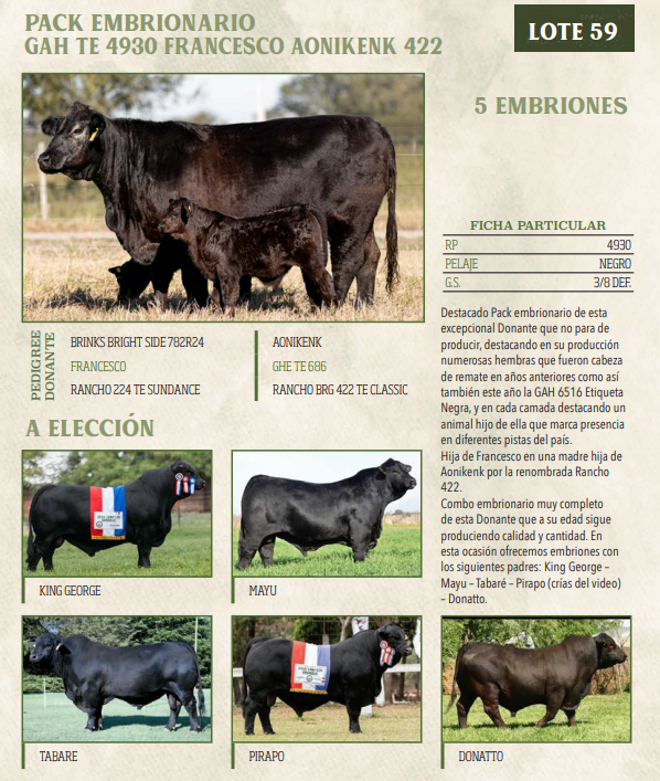 Lote LOTE 59