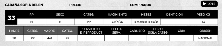 Lote LOTE 33