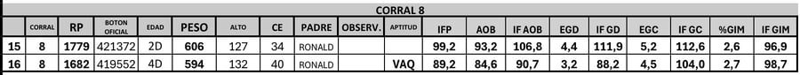 Lote 2 Toros PC