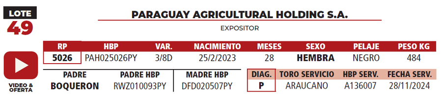 Lote LOTE 49