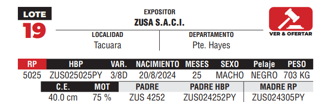 Lote LOTE 19 - DE CAMPO