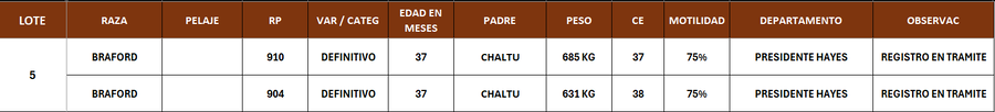 Lote LOTE 5